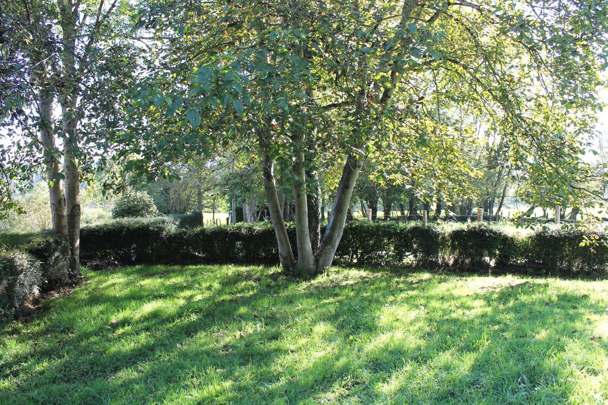 Casa De Aldea Monga 9 En Nava, Asturias别墅 外观 照片